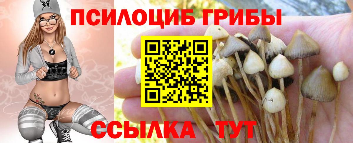 Псилоцибиновые грибы GOLDEN TEACHER  Вход с VPN  Новоалтайск 