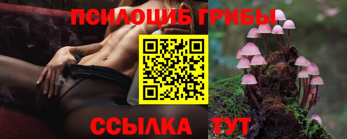 Псилоцибиновые грибы GOLDEN TEACHER Новоалтайск